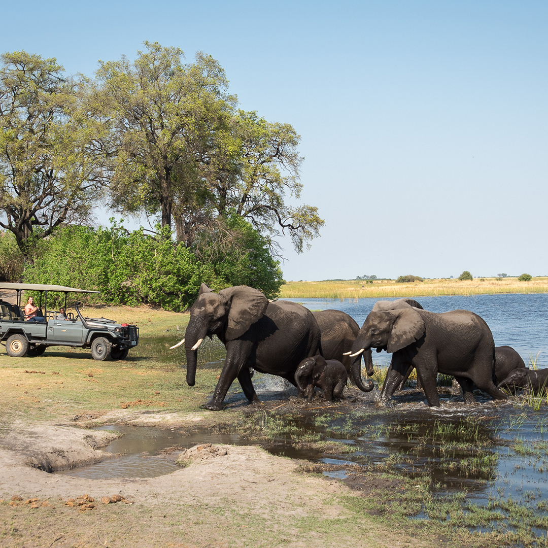 Chobe National Park