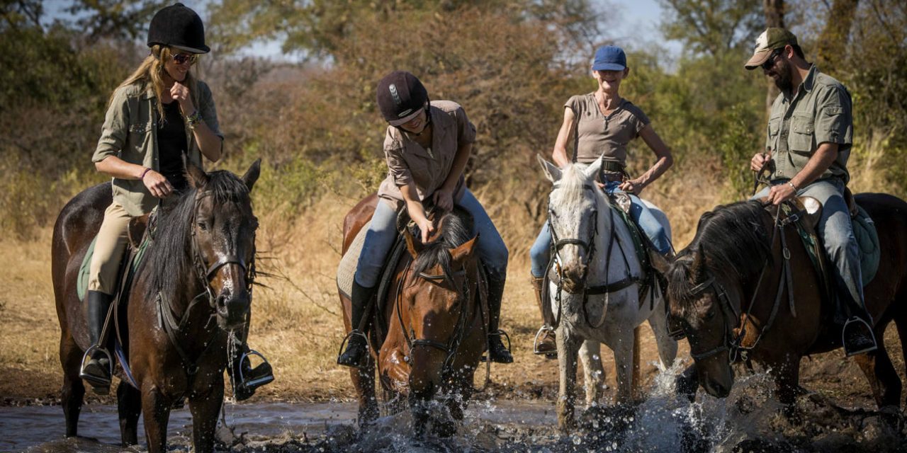 https://www.emmanueltaxistours.com/wp-content/uploads/2020/07/zambezi_horse_trails_22-1296x810-1-1280x640.jpg