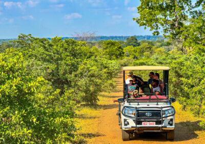 Zambezi Game Drive