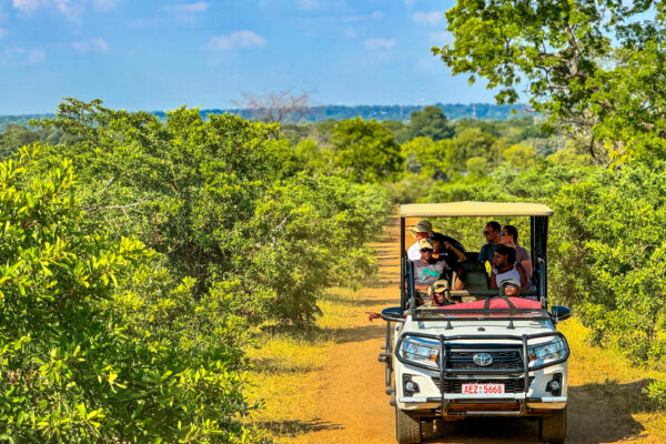 Zambezi Game Drive