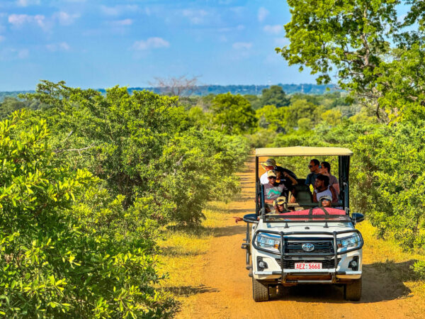 Zambezi Game Drive