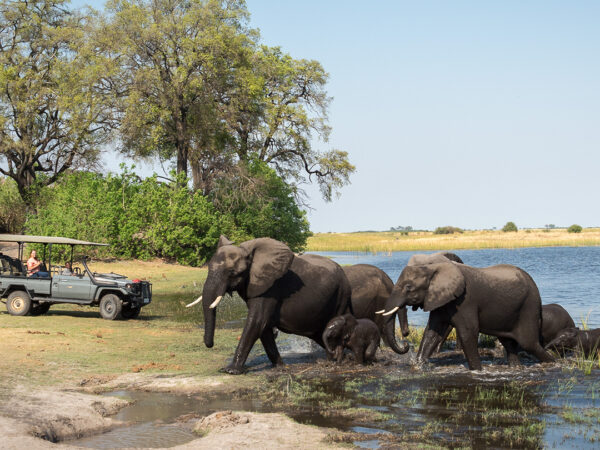 Full Day Chobe Day Trip
