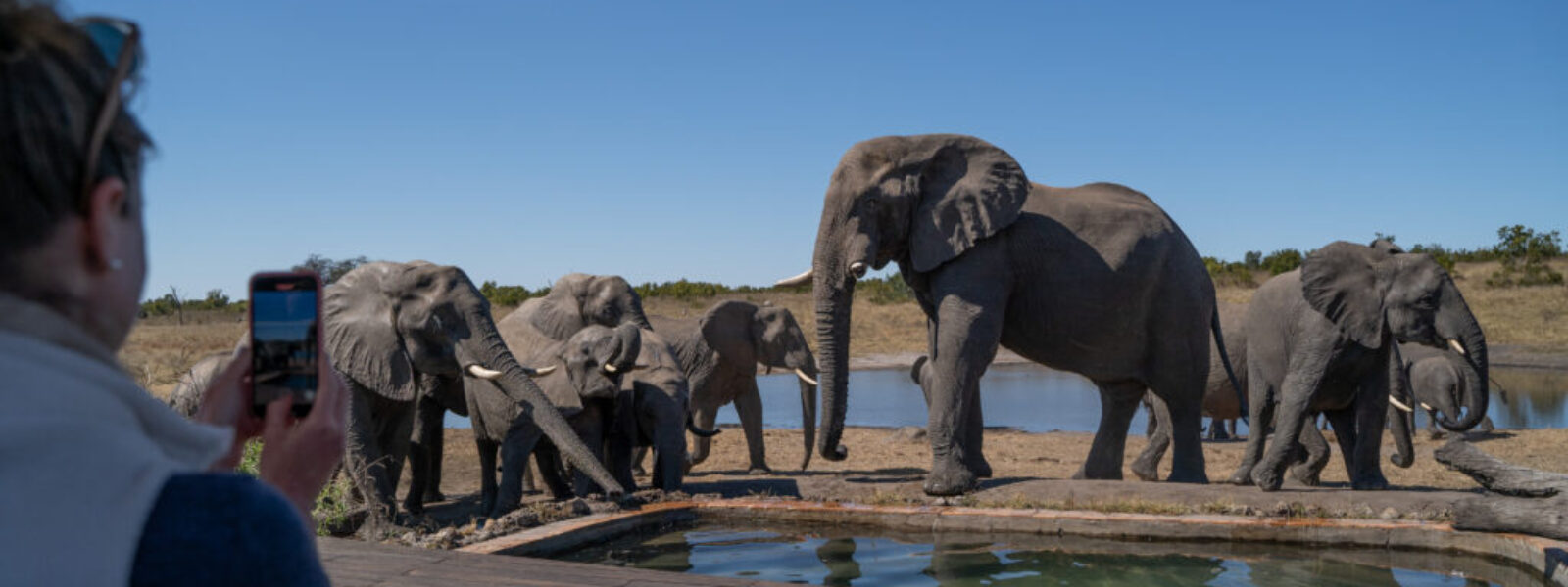 Hwange National Park