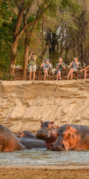 Takwela Camp - North Luangwa’s Untamed Escape